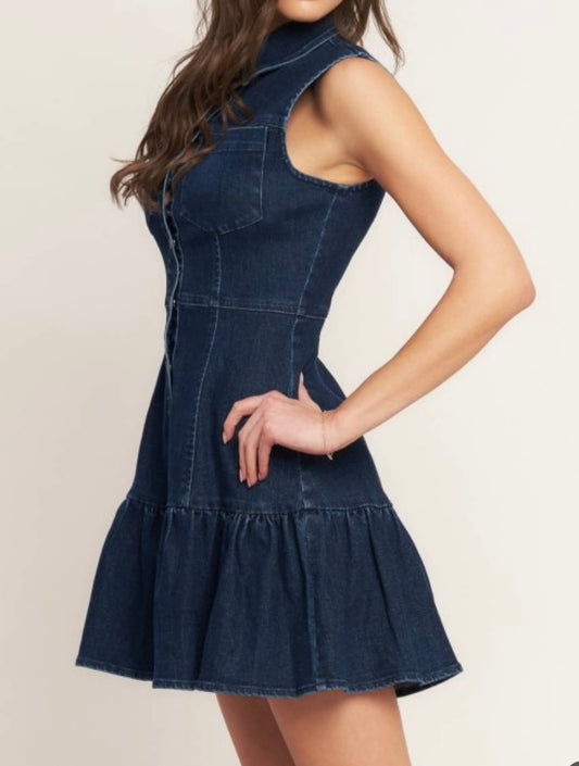 Denim Grace Button Dress