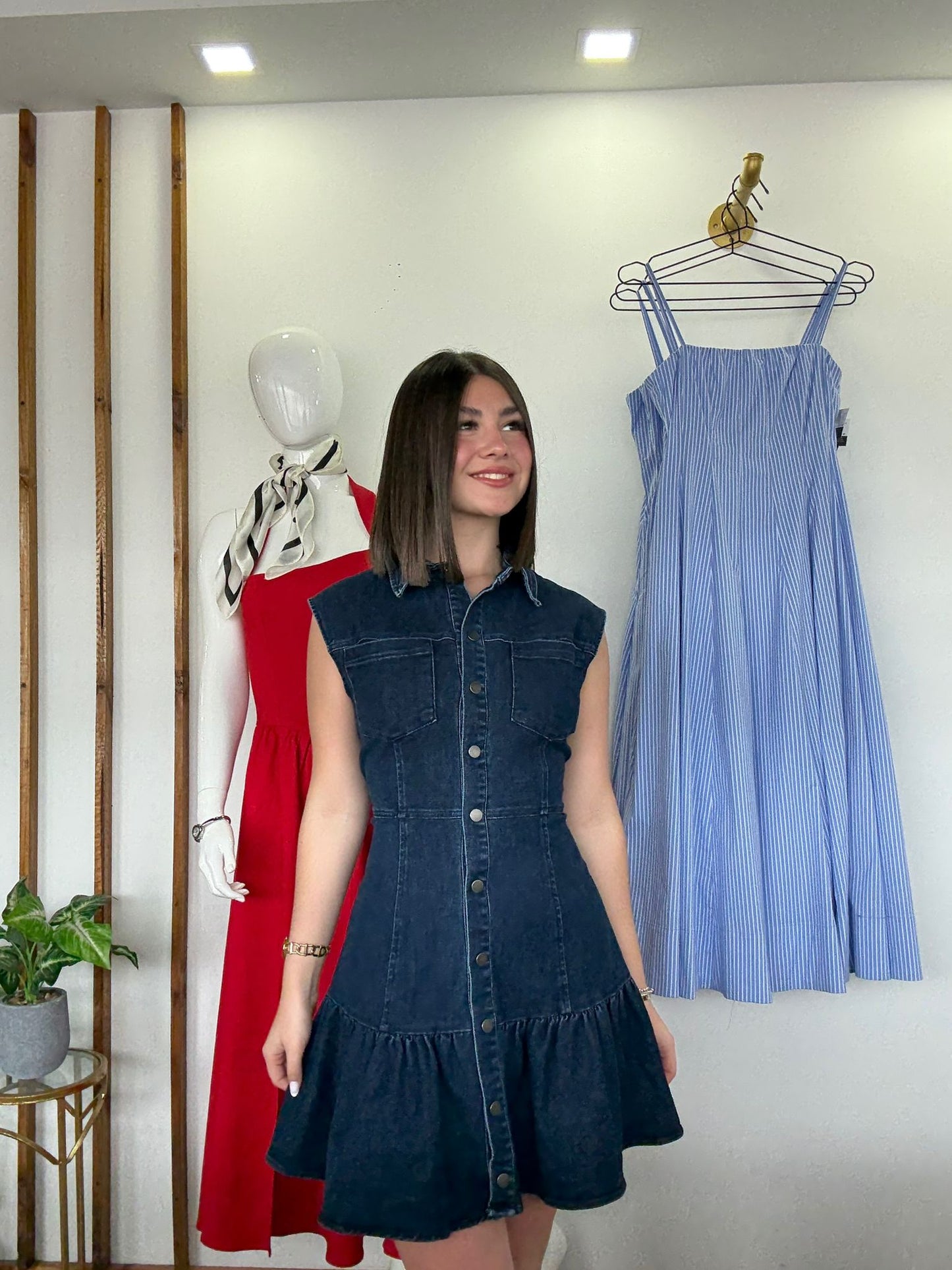 Denim Grace Button Dress